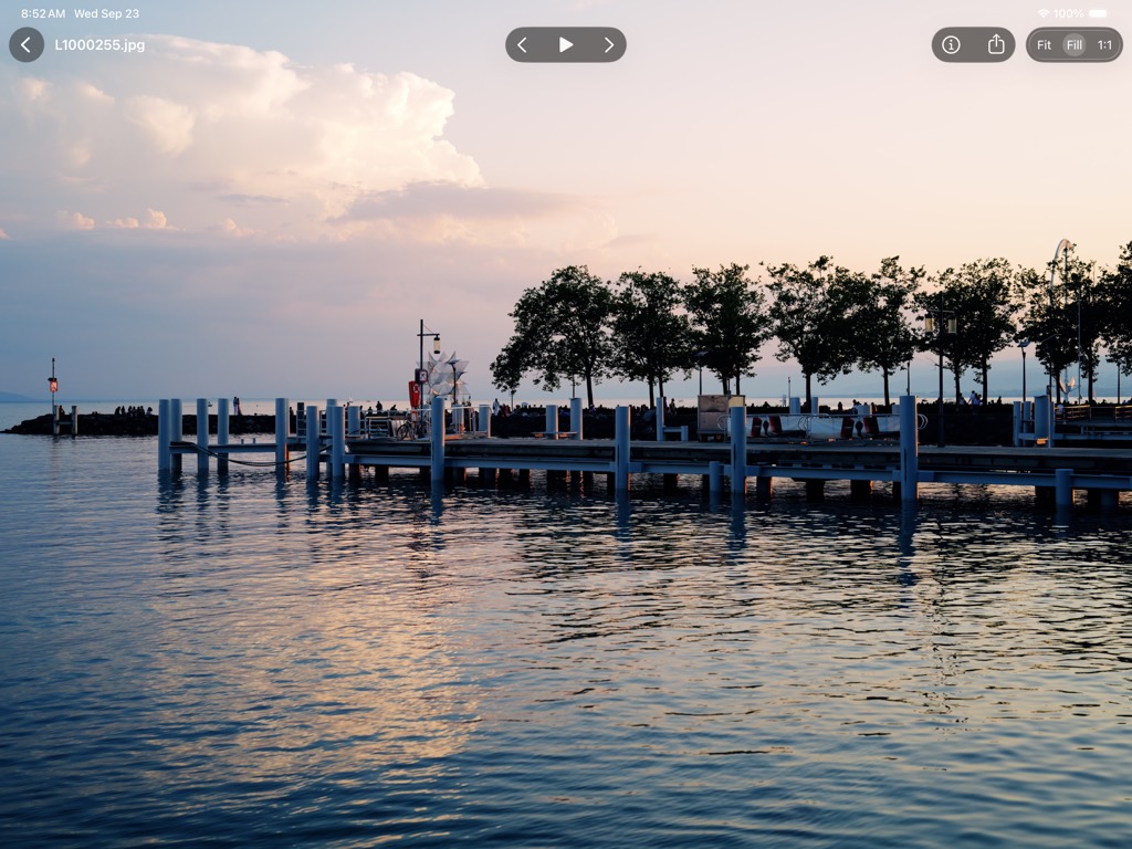 The same photograph with the controls showing: back, the filename, previous, play and next, share, info, and fit, fill and 1:1.